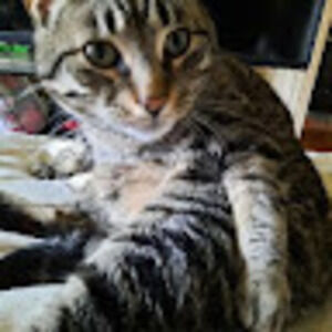 Meet your Posher, Shawna